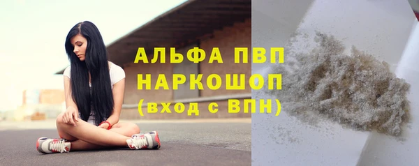 spice Сясьстрой