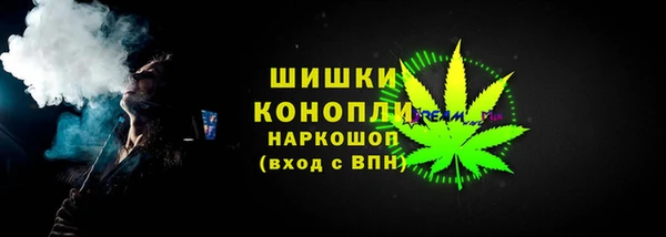 spice Сясьстрой