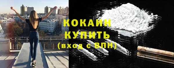 мяу мяу мука Тайга