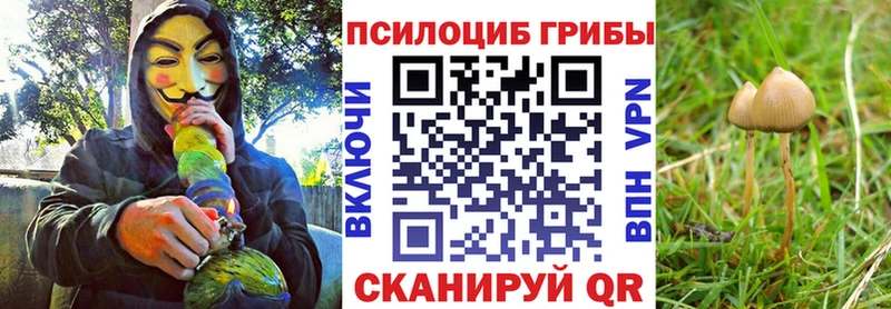 дарнет шоп  Лабинск  Псилоцибиновые грибы ЛСД 